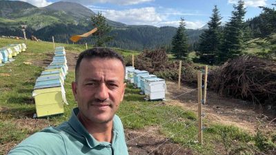 Koruma altındaki gelincik, Ilgaz Dağı’nda cep telefonuyla görüntülendi. Kastamonu-Çankırı sınırındaki