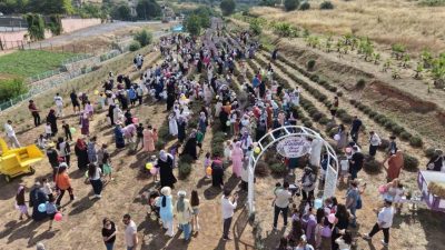 Çayırova’da bu yıl ikincisi gerçekleştirilen lavanta hasadı şenliği, renkli görüntülere