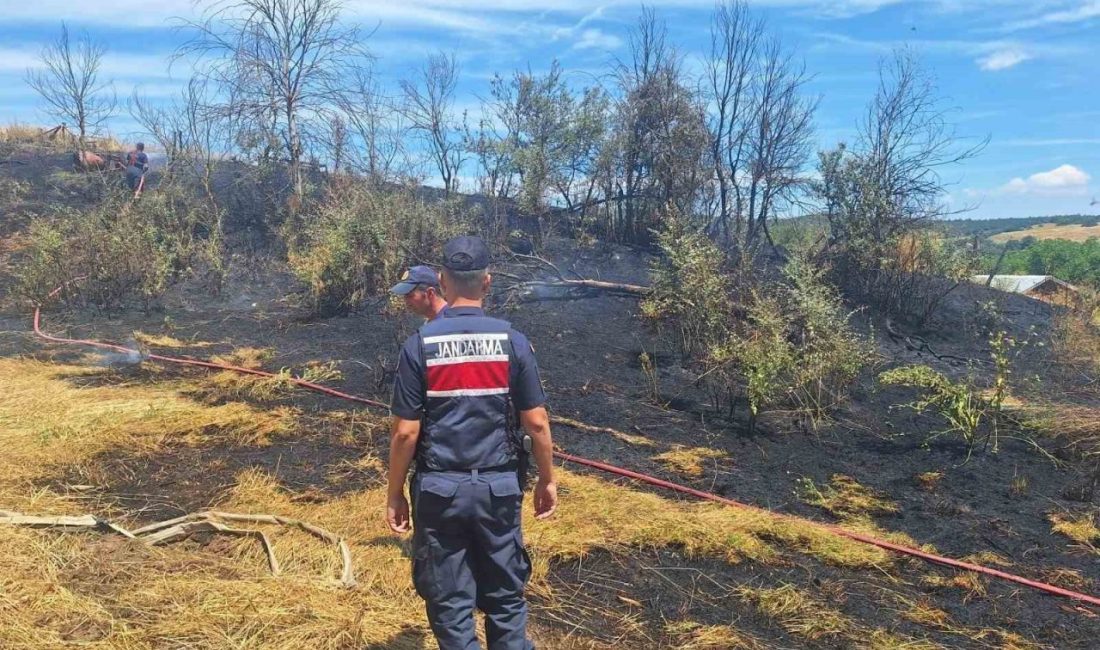 Mezarlık altındaki ot yangını korkuttu Bilecik’te mezarlık altında çıkan yagın, itfaiye ekiplerinin çalışması sonucu çevreye