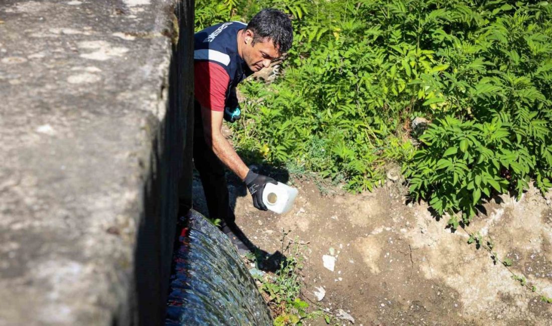 Sakarya’da Sapanca Gölü’ne alternatif kaynak olarak kullanılan Mollaköy Göleti’nden sağlanan
