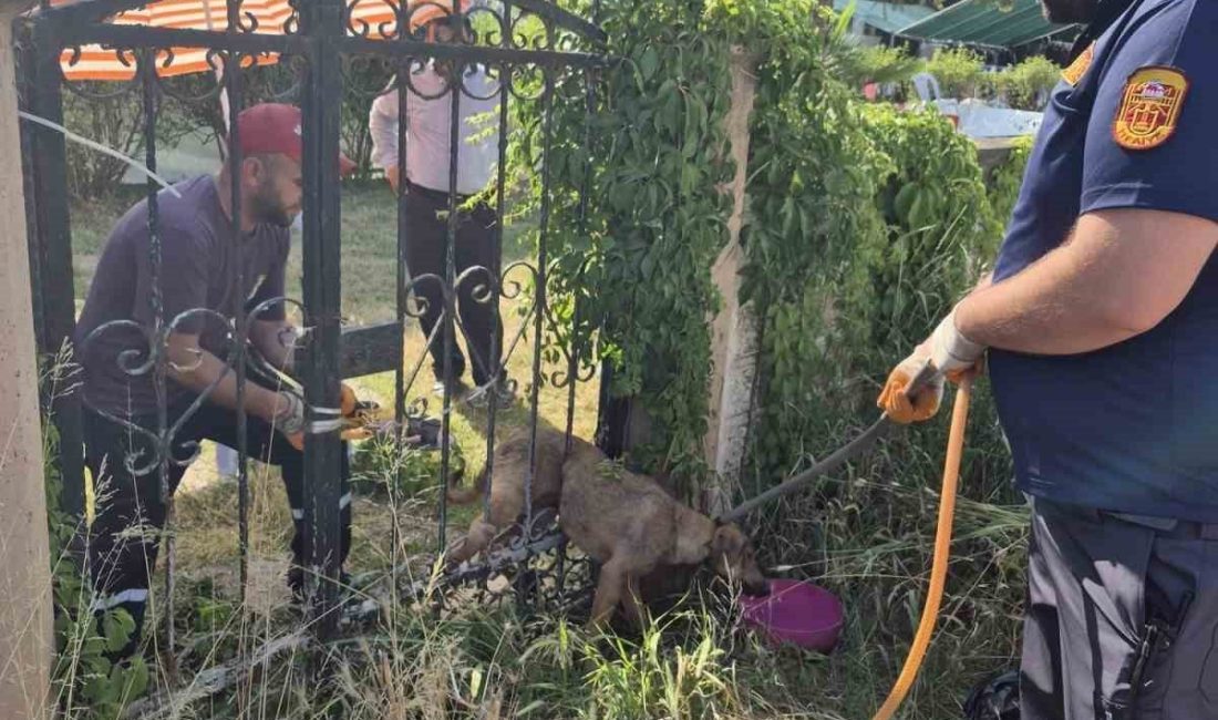 Parmaklıklara sıkışan köpek kurtarıldı DÜZCE(İHA) – Düzce’nin Cumayeri ilçesinde demir parmaklıklara sıkışarak mahsur kalan