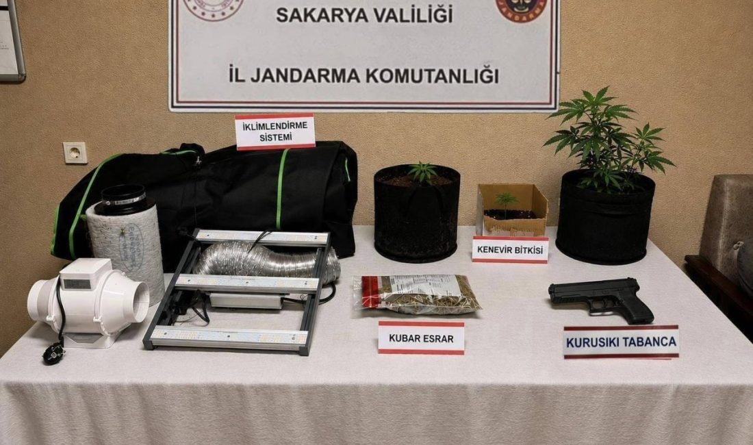 Sakarya’da jandarma ekiplerince Karasu, Serdivan ve Hendek ilçelerinde sokak satıcılarına