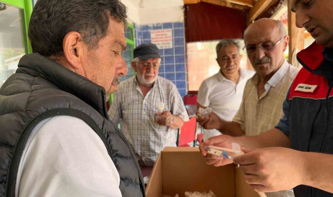 Savaşçı arılar doğaya salındı DÜZCE(İHA) – Düzce’nin Kaynaşlı ilçesinde kahverengi kokarcaya karşı biyolojik mücadele