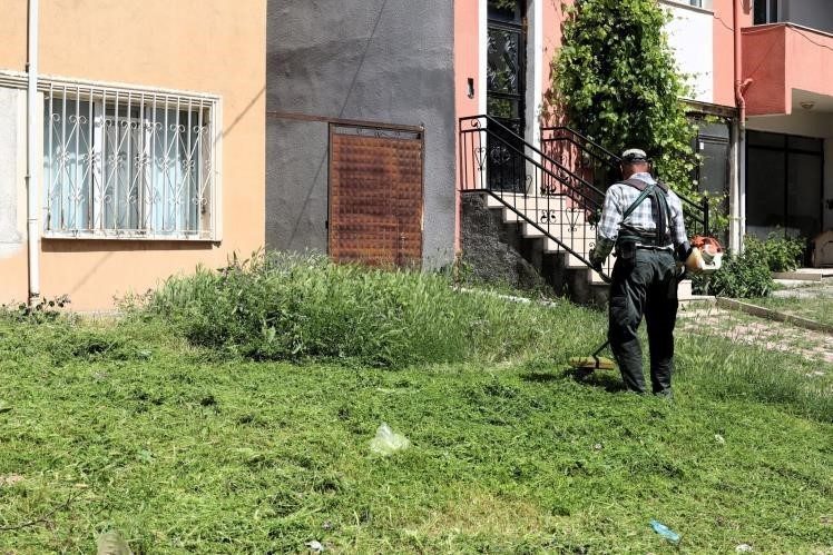 Söğüt’te çim biçme ve ilaçlama çalışmaları aralıksız devam ediyor Bilecik’in Söğüt ilçesinde çim biçme ve ilaçlama çalışmaları aralıksız devam