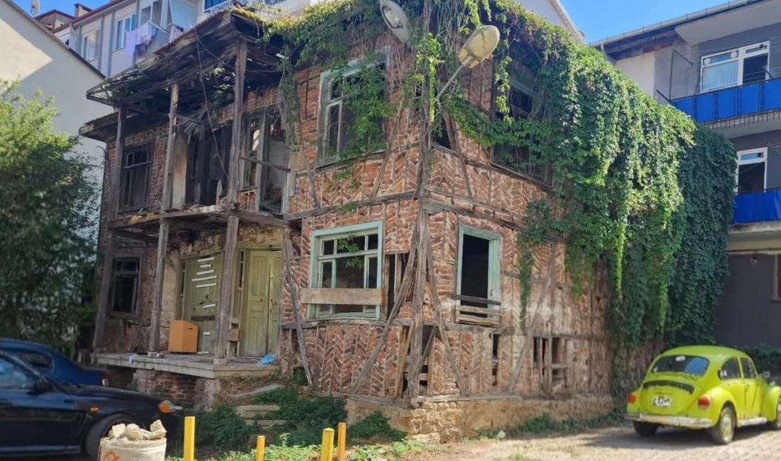 Gölcük’te, Değirmendere Yalı Evleri yanında bulunan ve korunması gereken kültür