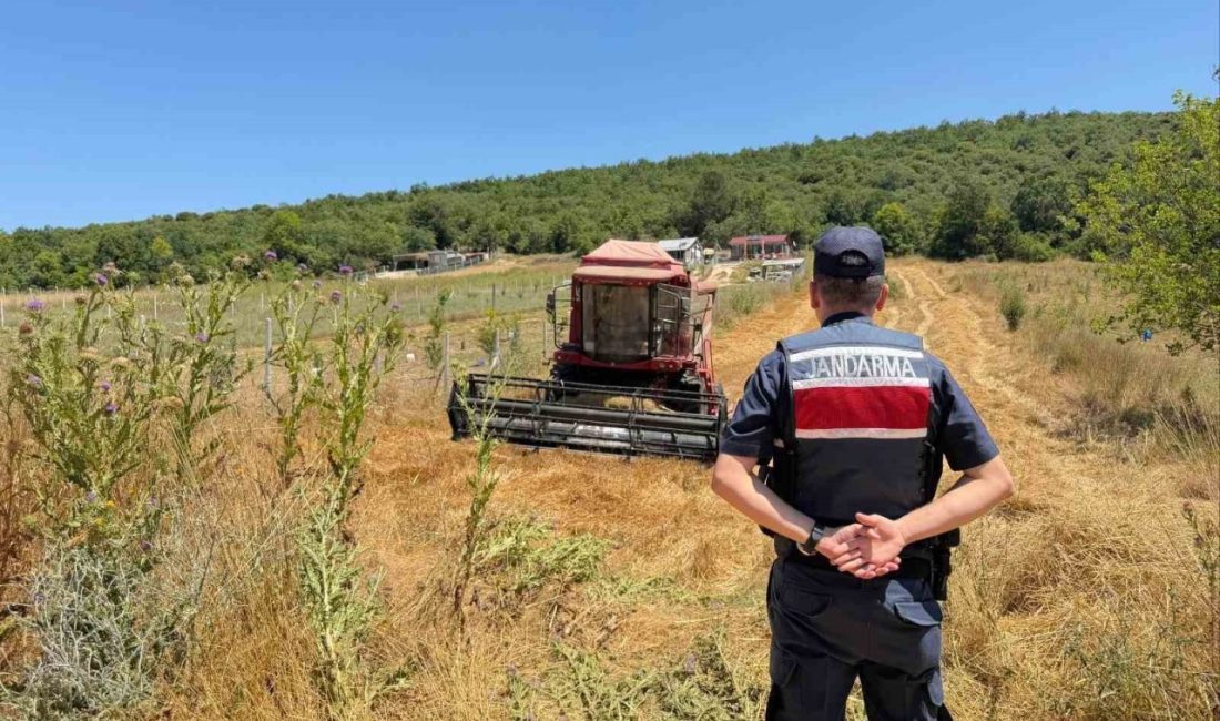 Tarlada su tankersiz hasat yapan biçördöver sahibine 3 bin 705 lira ceza Bilecik’te su tankeri kullanmadan hasat yapan biçördöver sahibine 3 bin