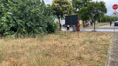Kocaeli’nin Gölcük ilçesinde tartıştığı amcasını palayla öldüren zanlı, polis ekiplerince