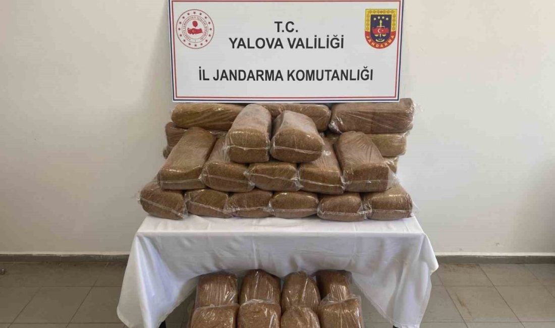 Yalova’da 160 kilo kaçak tütün ele geçirildi Yalova’da jandarma ekiplerince bir işletmeye düzenlenen operasyonda 160 kilogram bandrolsüz