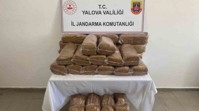 Yalova’da jandarma ekiplerince bir işletmeye düzenlenen operasyonda 160 kilogram bandrolsüz