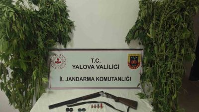 Yalova’nın Çiftlikköy ilçesinde jandarma ekiplerince düzenlenen operasyonda bir ev ve
