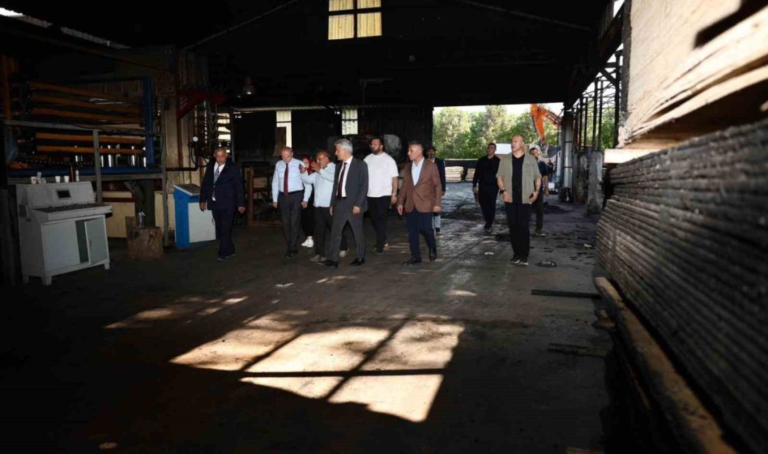 Düzce’de orman ürünleri fabrikasında meydana gelen yangın sonrasında Düzce protokolü,