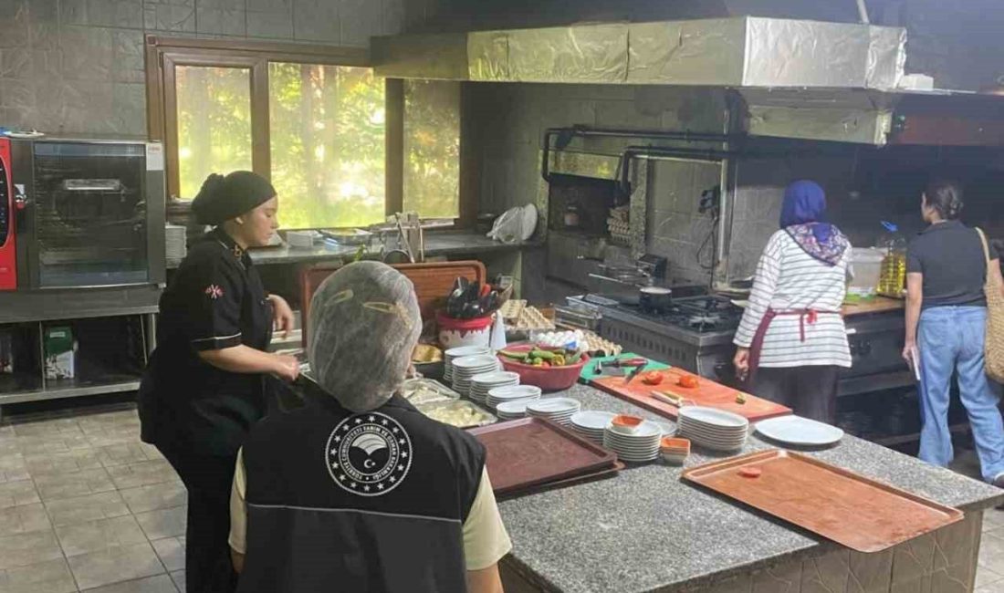 Bilecik’te şehirlerarası yol güzergâhlarında hizmet veren gıda işletmeleri denetlendi. Bilecik