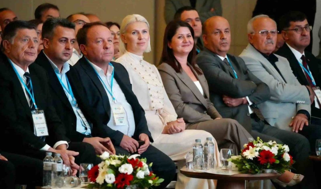 🔊 Haberi Sesli Dinle Hazır ▶ Dinle ⏸ Duraklat ⏹