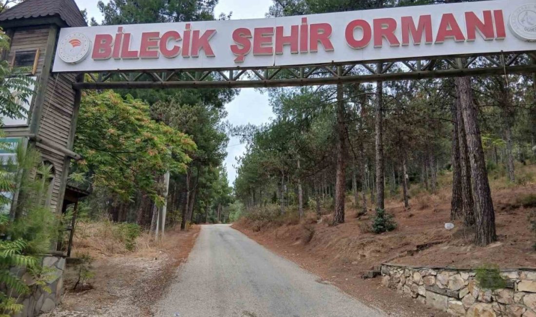 Bilecik Şehir Ormanı’nın giriş ve çıkış yollarında oluşan çukurlar, vatandaşların