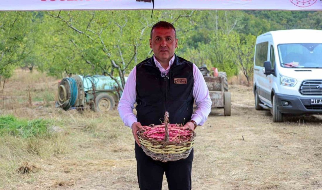 🔊 Haberi Sesli Dinle Hazır ▶ Dinle ⏸ Duraklat ⏹