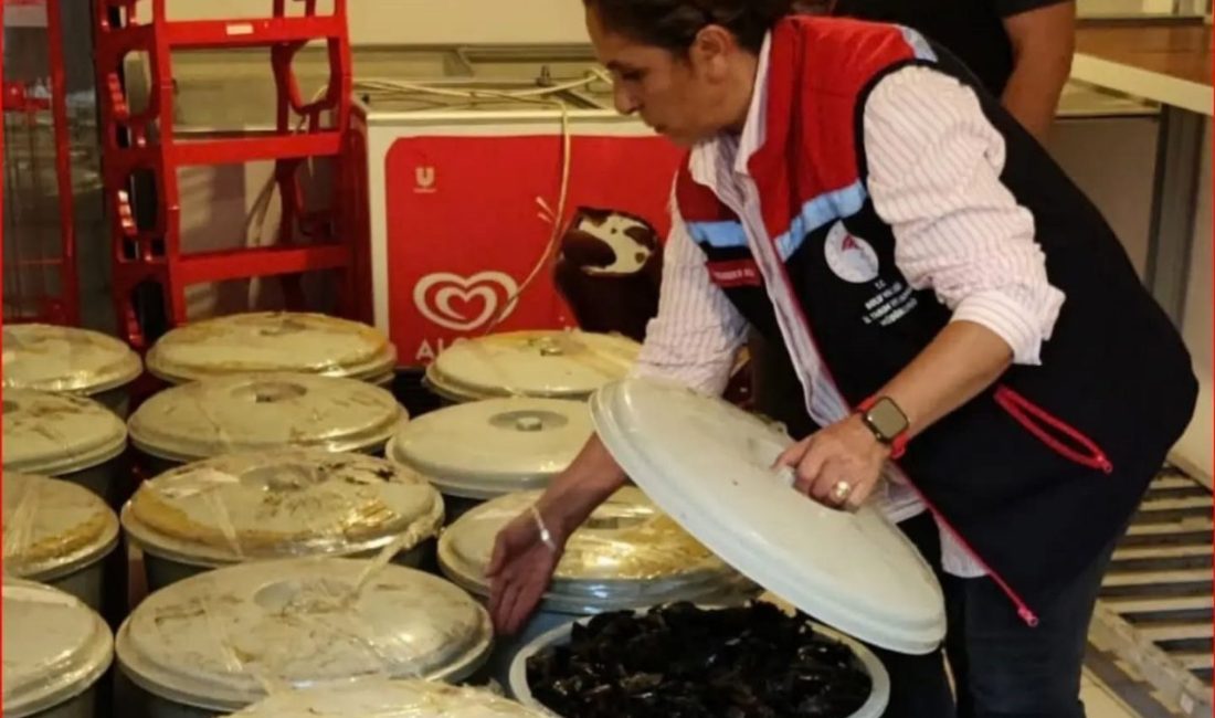 🔊 Haberi Sesli Dinle Hazır ▶ Dinle ⏸ Duraklat ⏹