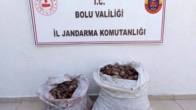 🔊 Haberi Sesli Dinle Hazır ▶ Dinle ⏸ Duraklat ⏹