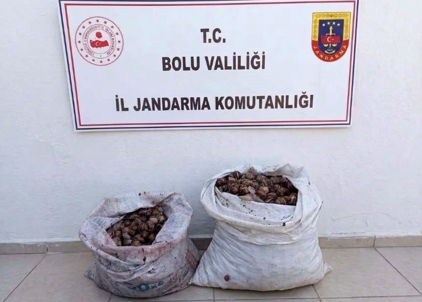 🔊 Haberi Sesli Dinle Hazır ▶ Dinle ⏸ Duraklat ⏹
