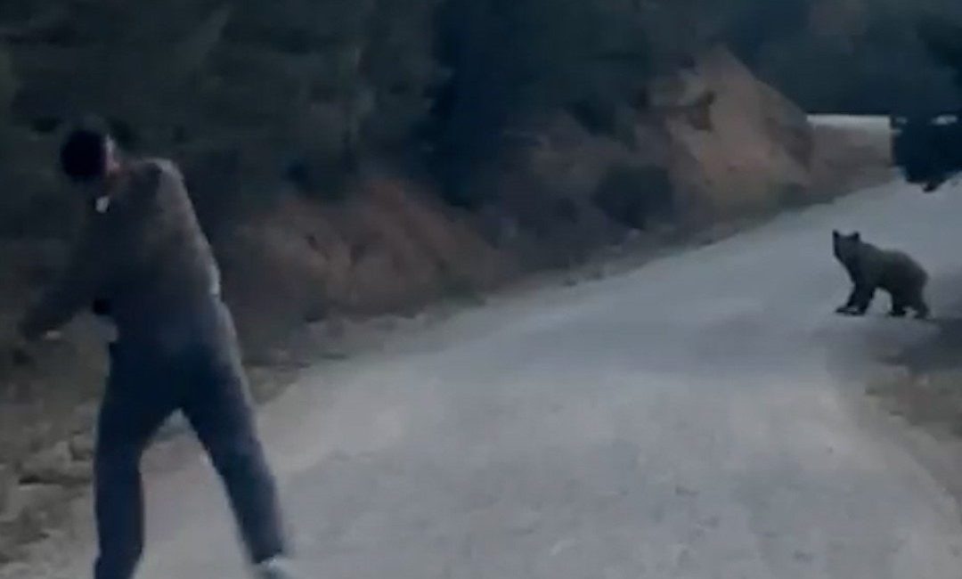 🔊 Haberi Sesli Dinle Hazır ▶ Dinle ⏸ Duraklat ⏹