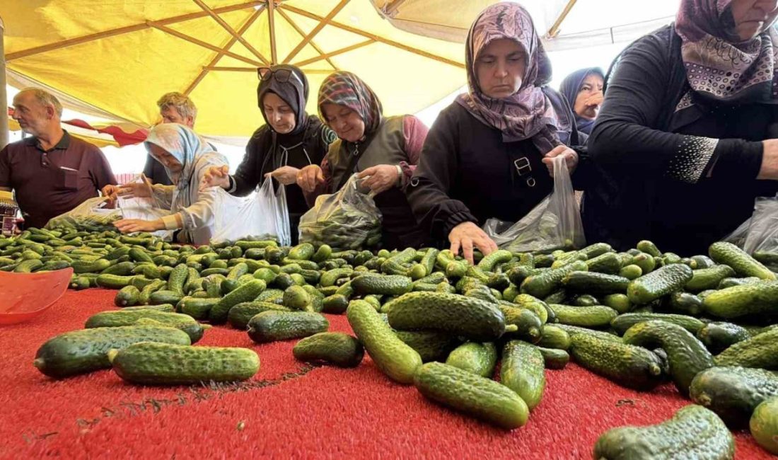 🔊 Haberi Sesli Dinle Hazır ▶ Dinle ⏸ Duraklat ⏹