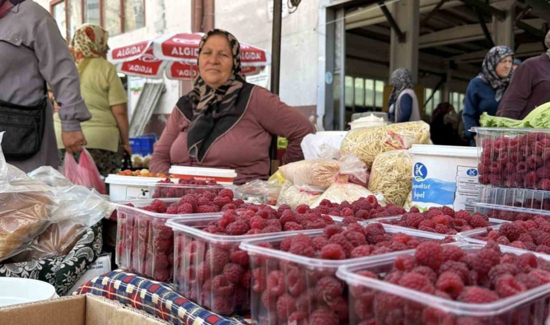 🔊 Haberi Sesli Dinle Hazır ▶ Dinle ⏸ Duraklat ⏹