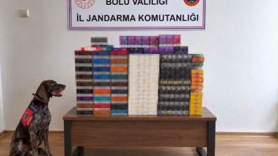 🔊 Haberi Sesli Dinle Hazır ▶ Dinle ⏸ Duraklat ⏹