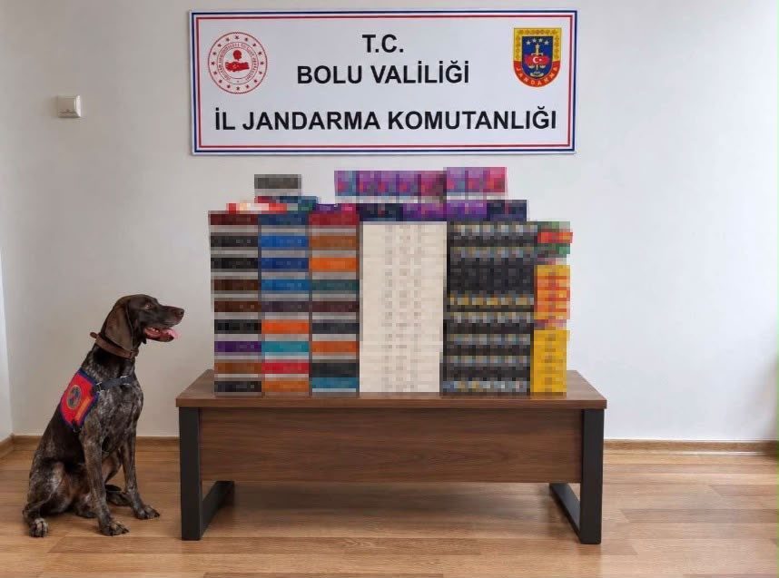 🔊 Haberi Sesli Dinle Hazır ▶ Dinle ⏸ Duraklat ⏹