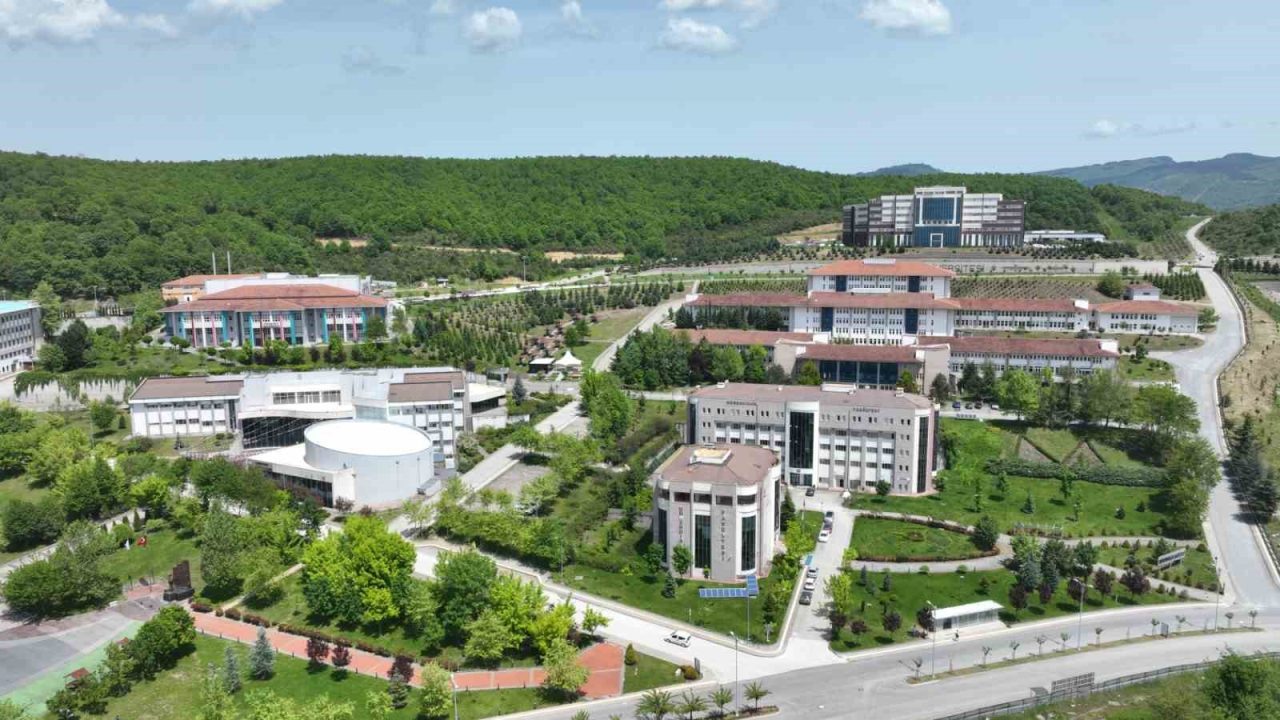 Düzce Üniversitesi, Matematik alanında Türkiye’deki devlet üniversiteleri arasında 1. sırada
