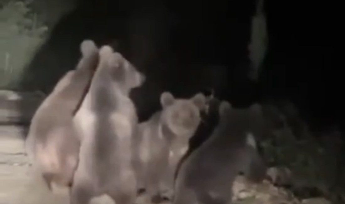 🔊 Haberi Sesli Dinle Hazır ▶ Dinle ⏸ Duraklat ⏹