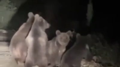 🔊 Haberi Sesli Dinle Hazır ▶ Dinle ⏸ Duraklat ⏹
