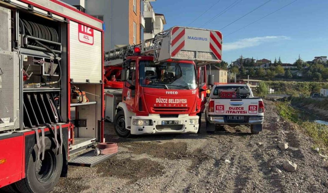 🔊 Haberi Sesli Dinle Hazır ▶ Dinle ⏸ Duraklat ⏹