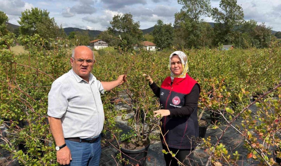 🔊 Haberi Sesli Dinle Hazır ▶ Dinle ⏸ Duraklat ⏹