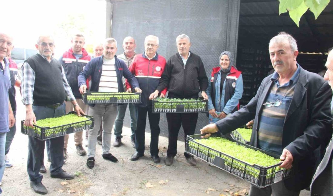 Kastamonu’nun İnebolu ilçesinde, Tarım Arazilerinin Etkinleştirilmesi Projesi (TAKE) kapsamında 65