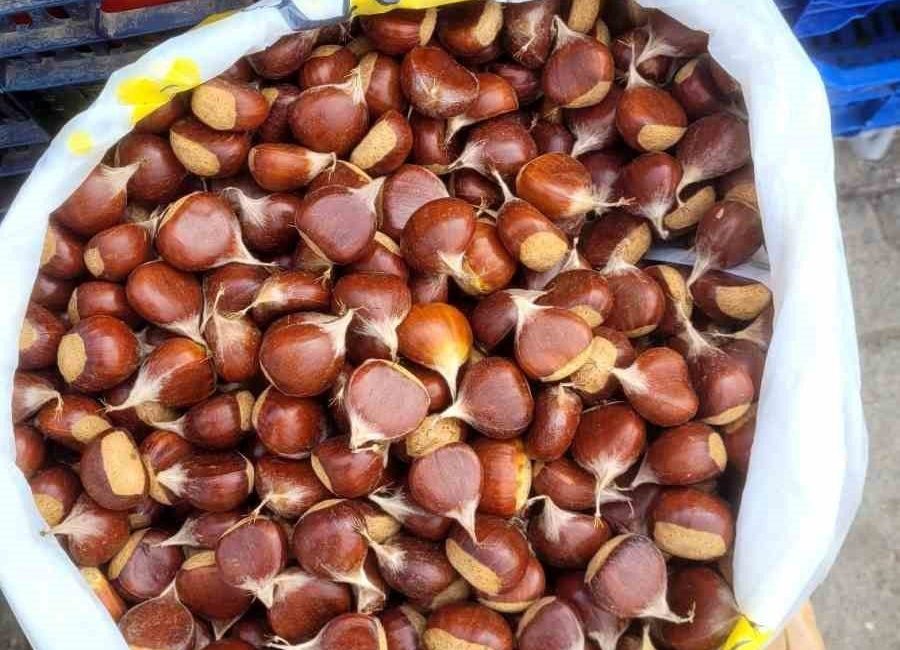 🔊 Haberi Sesli Dinle Hazır ▶ Dinle ⏸ Duraklat ⏹