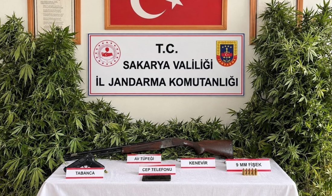 🔊 Haberi Sesli Dinle Hazır ▶ Dinle ⏸ Duraklat ⏹
