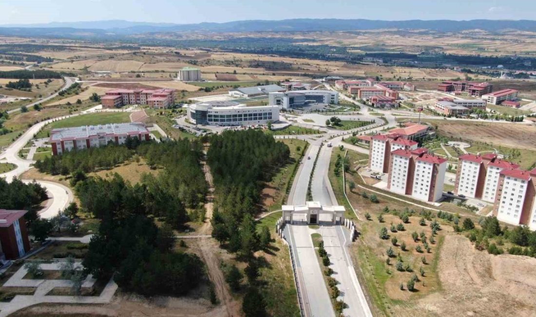 Kastamonu Üniversitesi tarafından yayımlanan Kastamonu Raporları serisinin 9’uncu çalışmasında, ilin