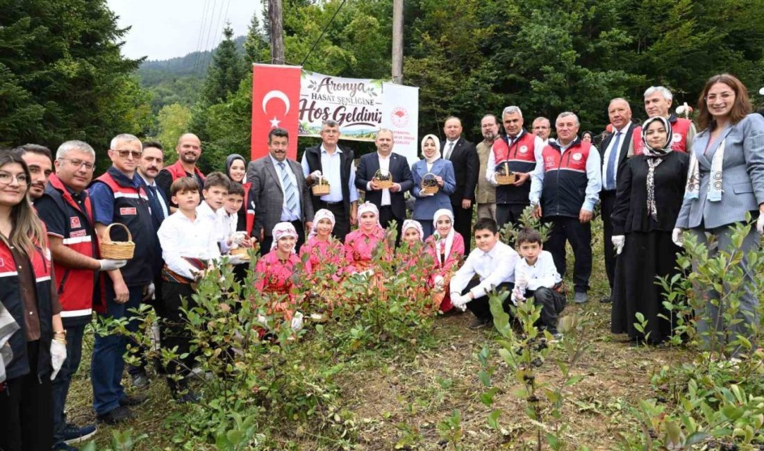 🔊 Haberi Sesli Dinle Hazır ▶ Dinle ⏸ Duraklat ⏹