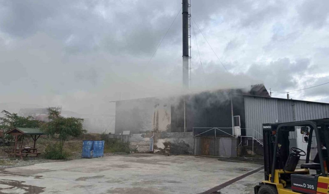 Kastamonu’nun Tosya ilçesinde bir süt fabrikasının kazan dairesi yanında bulunan