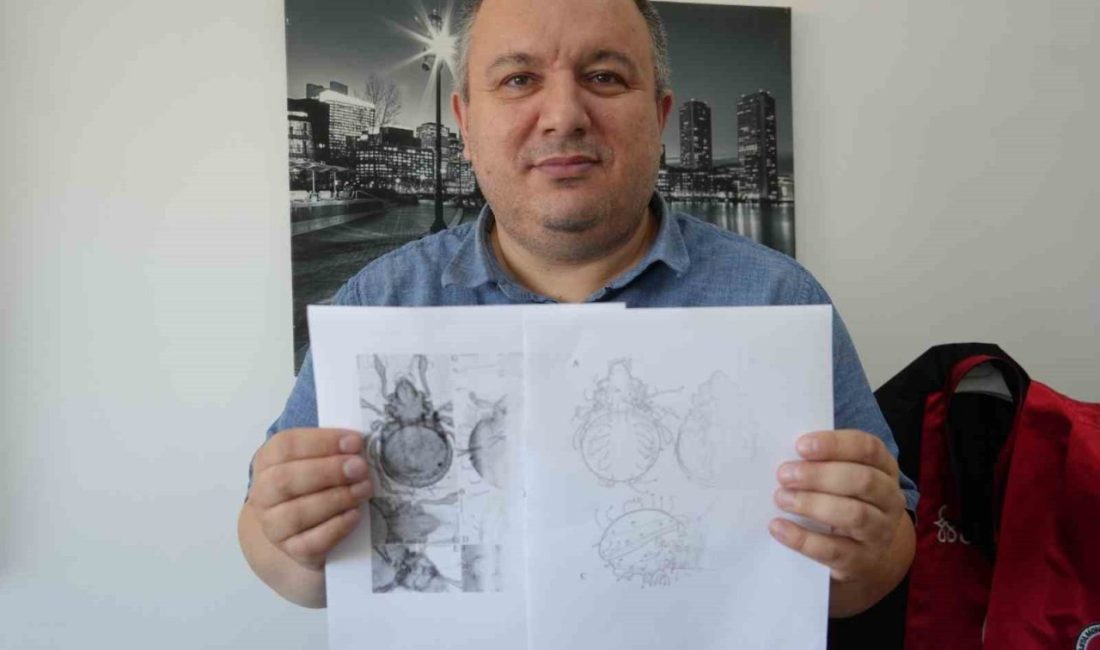 Kastamonu Üniversitesi Bitkisel ve Hayvansal Üretim Bölümü Başkanı Dr. Öğretim