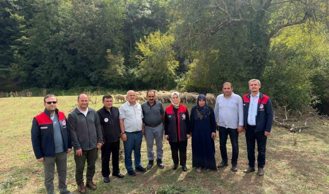 Düzce’nin Gümüşova ilçesinde, Tarım ve Orman Bakanlığınca yürütülen “Kırsalda Bereket,