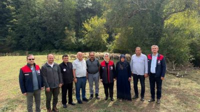 Düzce’nin Gümüşova ilçesinde, Tarım ve Orman Bakanlığınca yürütülen “Kırsalda Bereket,