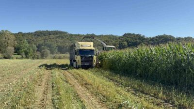 🔊 Haberi Sesli Dinle Hazır ▶ Dinle ⏸ Duraklat ⏹