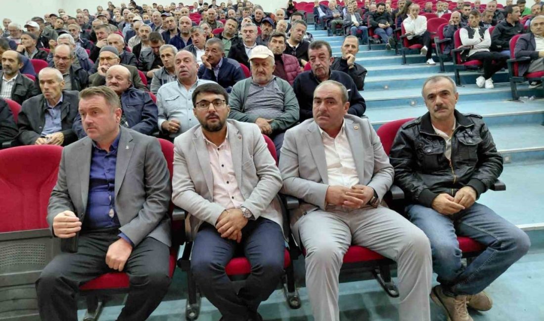 🔊 Haberi Sesli Dinle Hazır ▶ Dinle ⏸ Duraklat ⏹