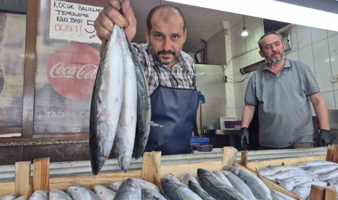 DÜZCE (İHA) – Balık avı sezonunun 1 Eylül’de başlamasıyla Düzce’deki