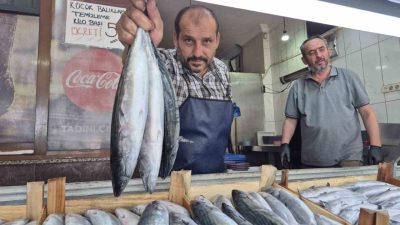 DÜZCE (İHA) – Balık avı sezonunun 1 Eylül’de başlamasıyla Düzce’deki