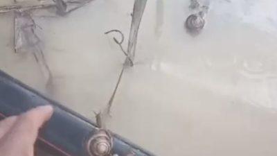 🔊 Haberi Sesli Dinle Hazır ▶ Dinle ⏸ Duraklat ⏹