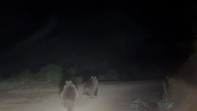 🔊 Haberi Sesli Dinle Hazır ▶ Dinle ⏸ Duraklat ⏹