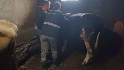 🔊 Haberi Sesli Dinle Hazır ▶ Dinle ⏸ Duraklat ⏹