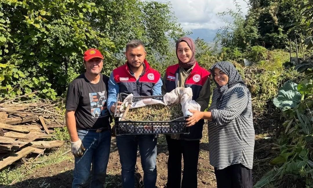 Düzce’nin Yığılca ilçesinde tarımsal ürün çeşitliliğini artırmaya yönelik çalışmalar kapsamında