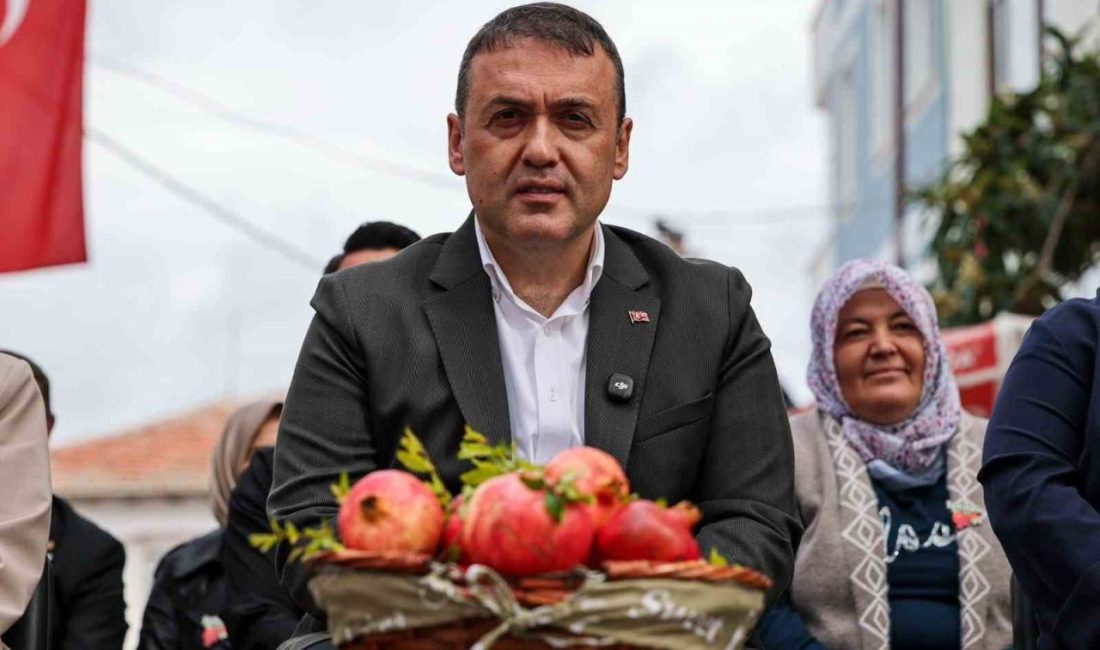 İnhisar, Bilecik’in nar üretiminde zirveye çıktı 🔊 Haberi Sesli Dinle Hazır ▶ Dinle ⏸ Duraklat ⏹
